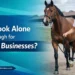 Why-Facebook-Alone-Isn’t-Enough-for-Equine-Businesses